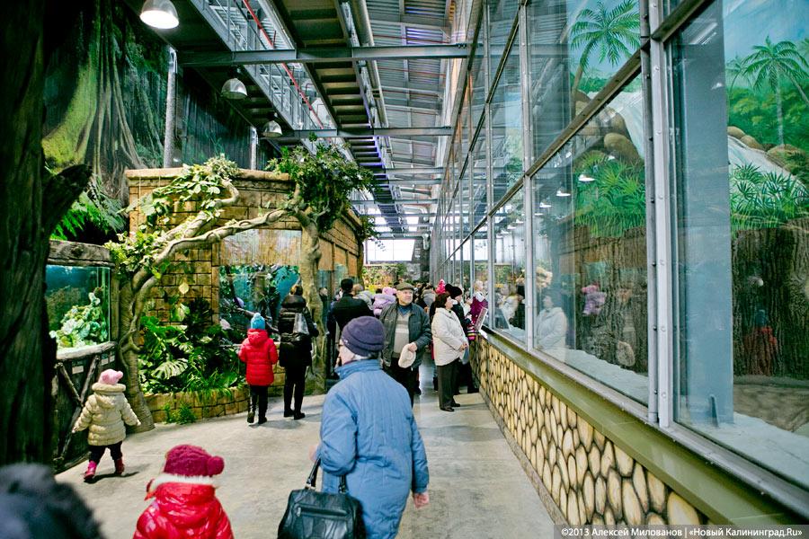 Фото из архива «Нового Калининграда.Ru»