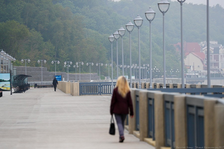 Много лиственницы и чуть песка: как выглядит светлогорский «пляж»  