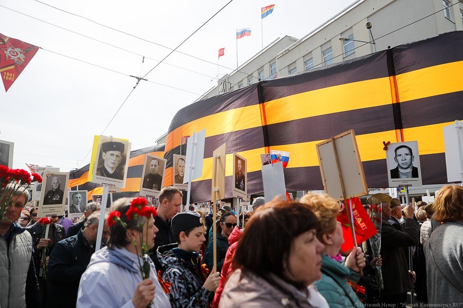 «Никто не забыт»: по улицам Калининграда прошел «Бессмертный полк»