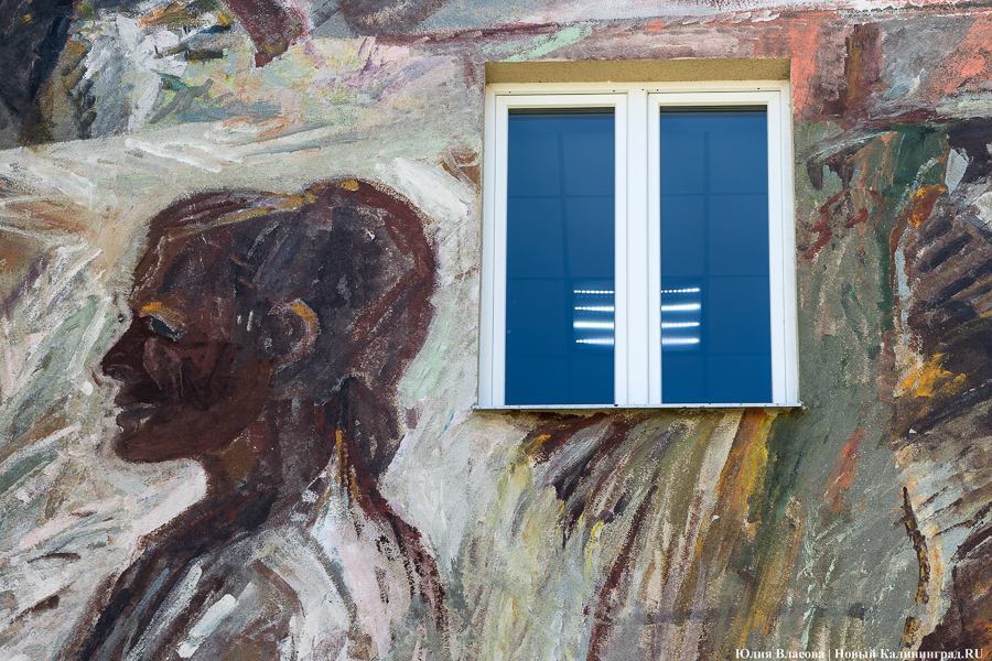 То, чему предстоит стать классикой: на зданиях БФУ им. Канта нарисовали четыре мурала (фото)