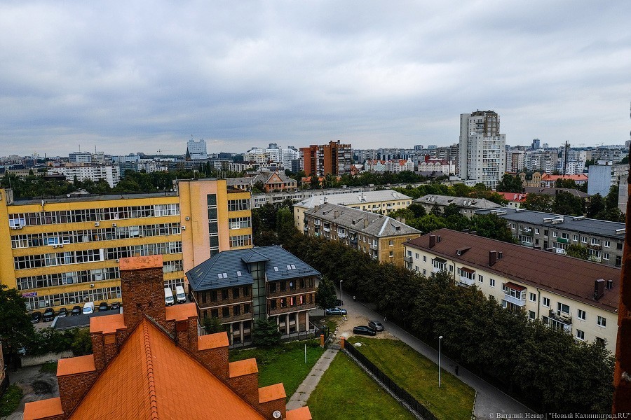 С личного завода кайзера: филармония хочет запустить экскурсии на колокольню (фото)