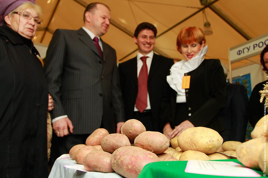 "Агропром-2010": фоторепортаж "Новый Калининград.Ru"