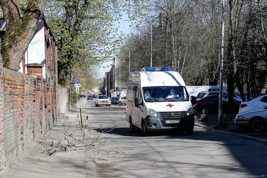 Главное о коронавирусе в четверг, 30 апреля