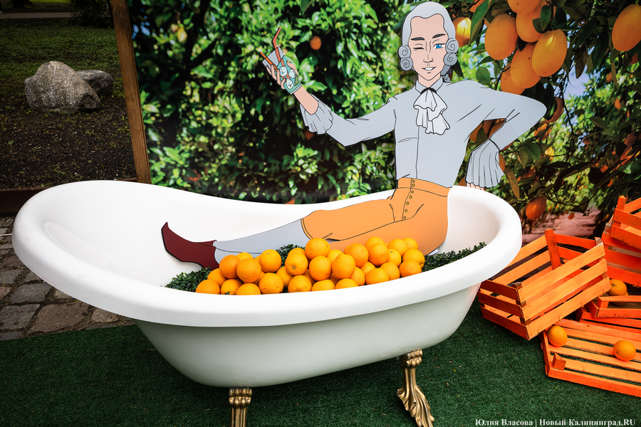 Прикидываясь Кантом: у Кафедрального собора открылась ярмарка (фото)