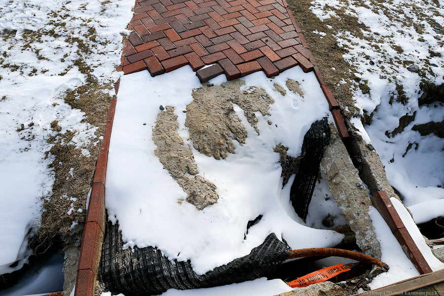 Под давлением: что происходит с берегом у резиденции президента в Пионерском