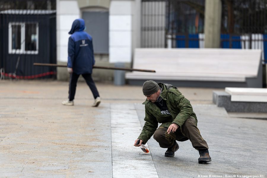 В трех соснах: как выглядит благоустроенная территория у стадиона «Балтика» (фото)