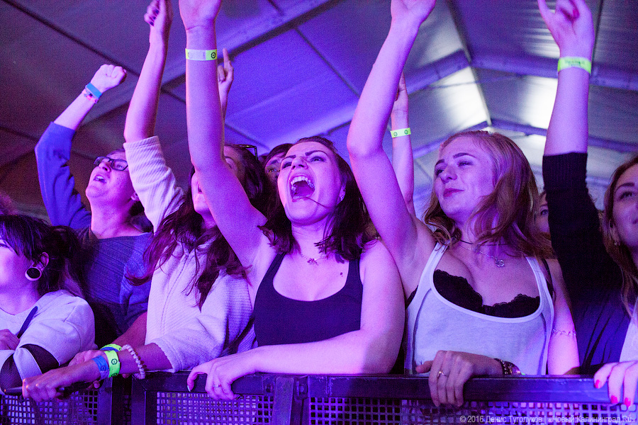 Пляжный вопрос: что не так с организацией фестиваля «Янтарный пляж»