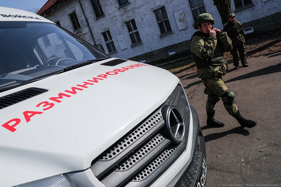 Кобра и псы-миноискатели: Балтфлот получил новое вооружение (фото)