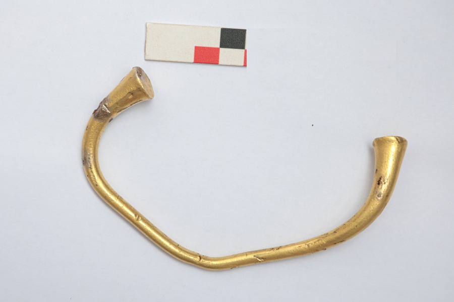 Светловский фермер нашел в поле уникальный золотой браслет I-V века (фото)