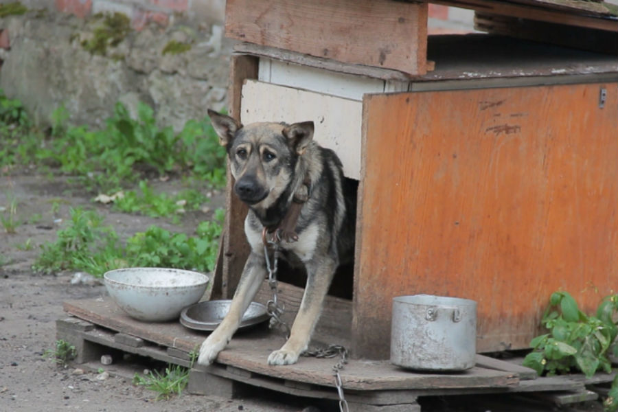 Выжженное «поле»: в Черняховске снова сгорел рынок секонд-хенда