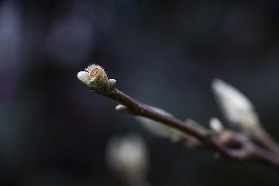 В Калининградской области обновлён очередной температурный рекорд