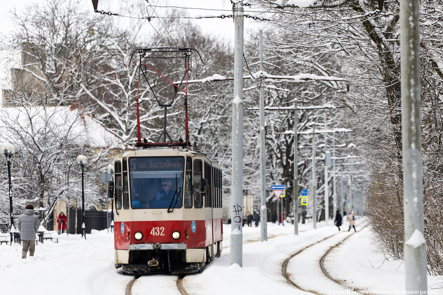 «Калининград-ГорТранс» отметил рост перевозок пассажиров в 2026 году