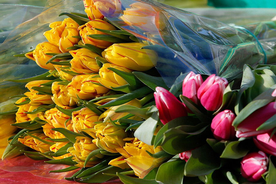 Фото: Виталий Невар / «Новый Калининград»