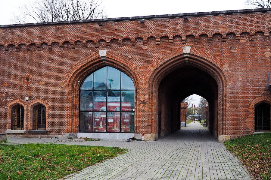 Космос как предчувствие: кто задумал воссоздавать Кёнигсбергскую обсерваторию