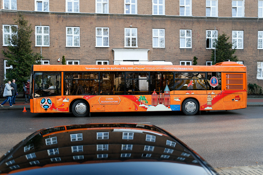 Верхом на трёхглазой змее: на калининградские автобусы нанесли символику ЧМ