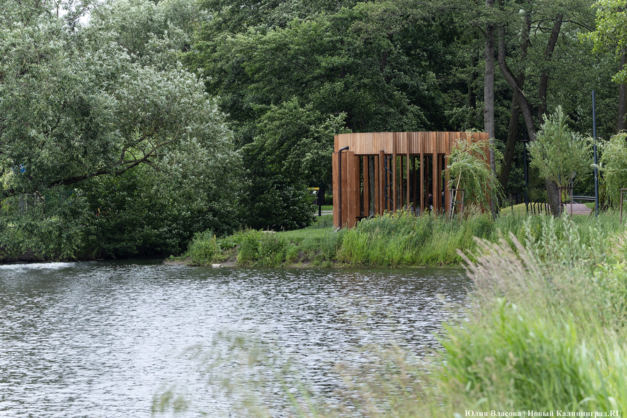 Планы развития к юбилею области: как губернатор в мкр. Космодемьянского выезжал (фото)