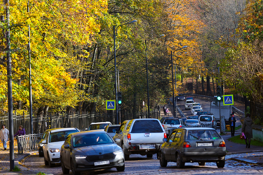 Время тыквы: как в Калининграде проходит необычная осень (фото)