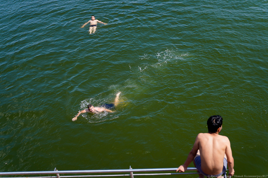 В Гидрометцентре назвали температуру воды в Калининградской области «фантастической»