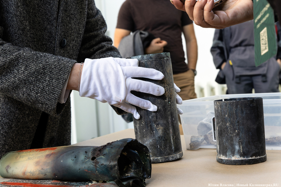 Эхо прошлого: в Калининградском зоопарке извлекли 94-летнюю «капсулу времени» (фото)