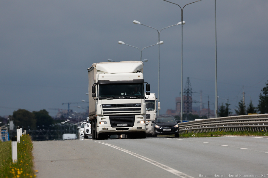 Минэк Литвы о возможном ответе РФ на «блокаду» Калининграда: не видим прямых последствий