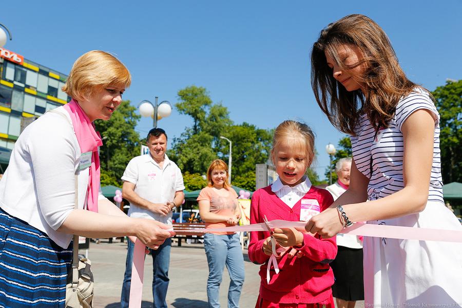 Сорок тысяч мелочью: как прошел благотворительный фестиваль «Розовая лента»