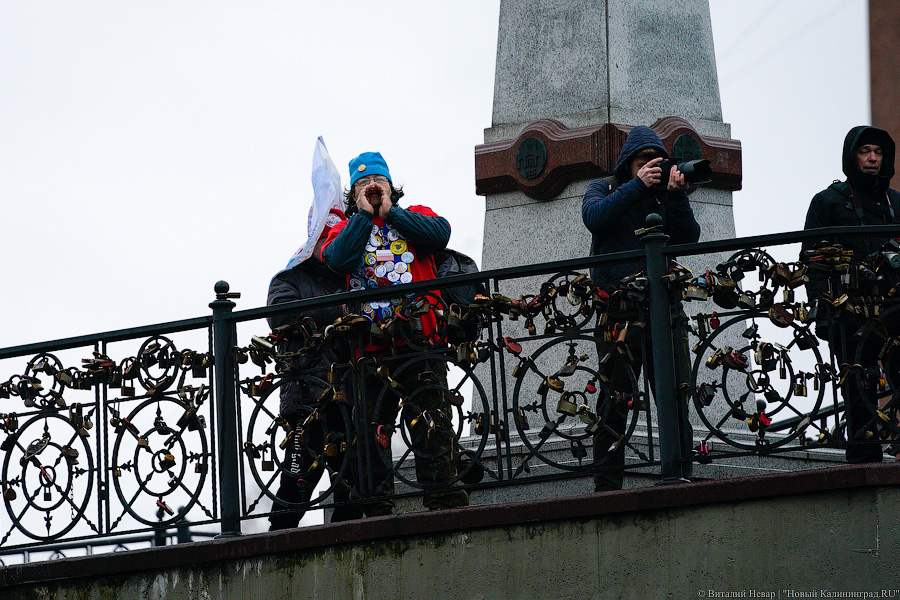 День моржа: как пловцы пытались защитить экосистему Преголи (фото)