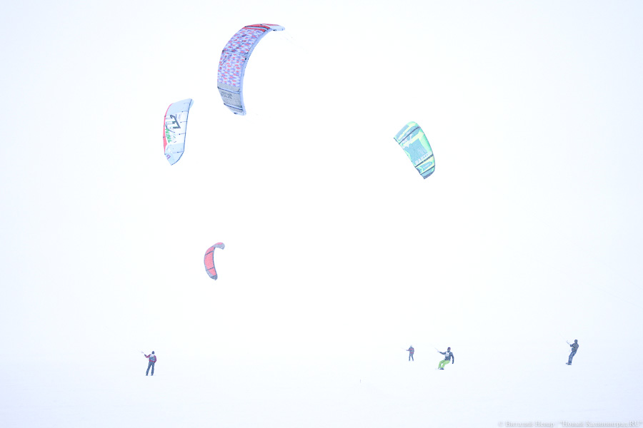 Сноукайтеры вышли на Калининградский залив. Посмотрите, как это красиво