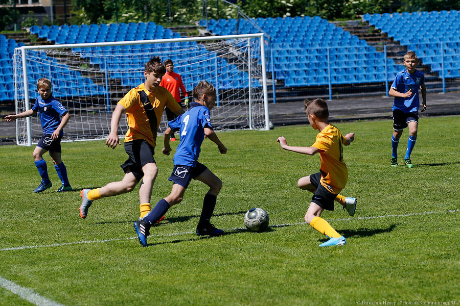 Год в свои ворота: калининградцы торжественно ждут ЧМ-2018