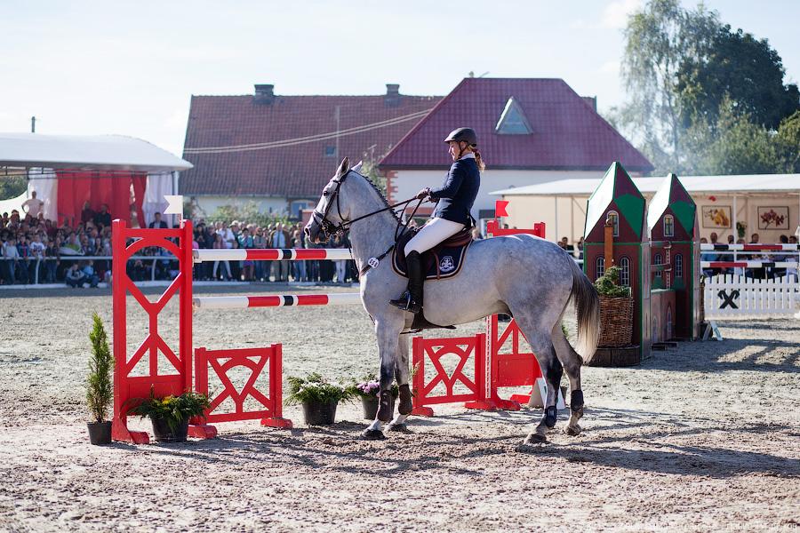 «Кубок президента РФ для немцев»: фоторепортаж с турнира по конкуру в Георгенбурге