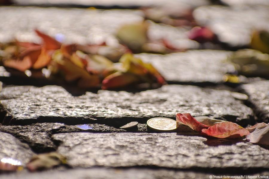 "10.10.10": фоторепортаж "Нового Калининграда.Ru"
