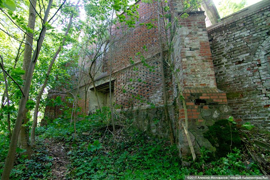 Без окон и дверей: законсервированная Кирха в Домново начала разрушаться