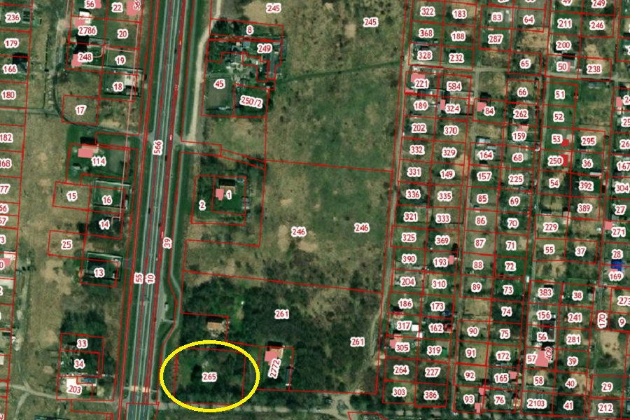 Зеленоградские власти выдали порубочный билет на 93 дерева на въезде в Сосновку