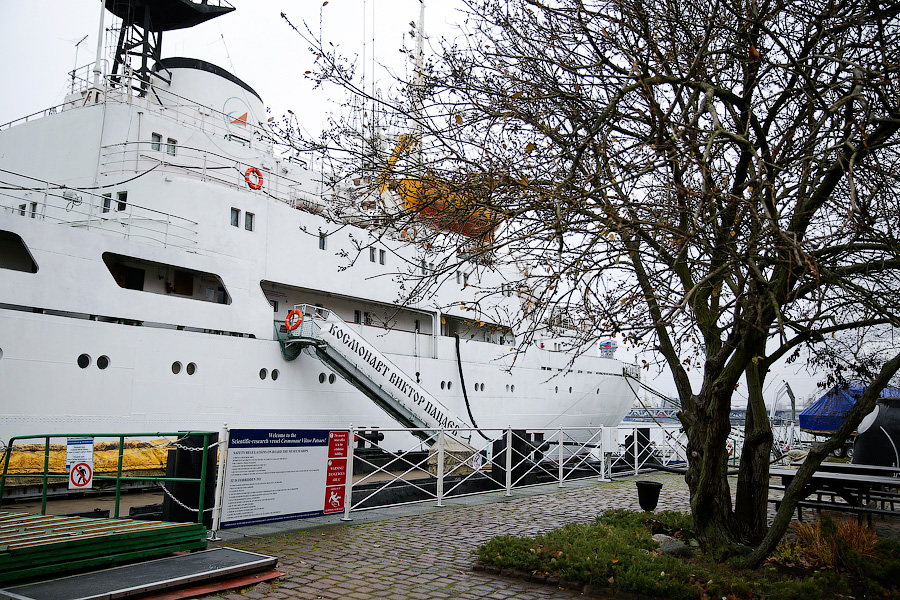 Виталий Невар / Новый Калининград