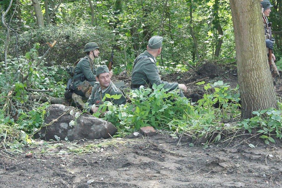 "Дерево войны и мира": фоторепортаж "Нового Калининграда.Ru"