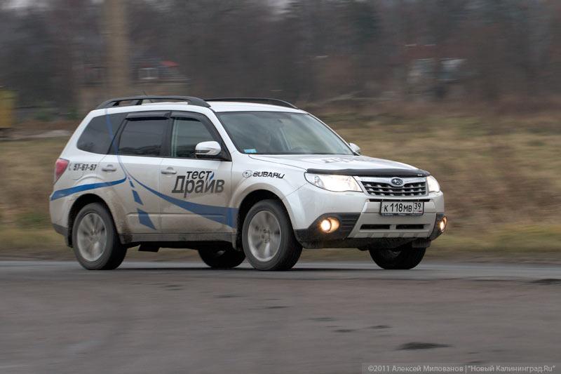«Форест Гамп»: тест-драйв нового Subaru Forester