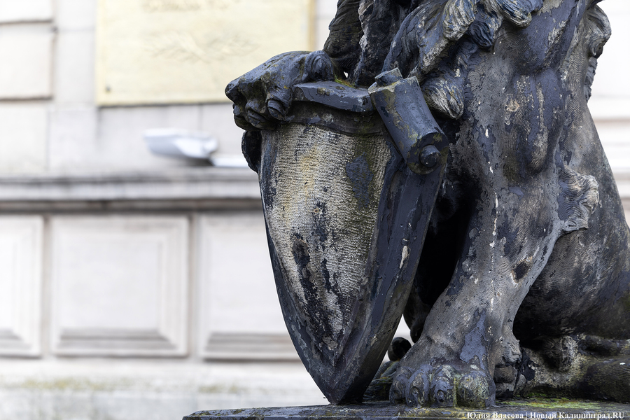 Восстановить и сохранить: скульптуры львов у бывшей биржи готовят к реставрации