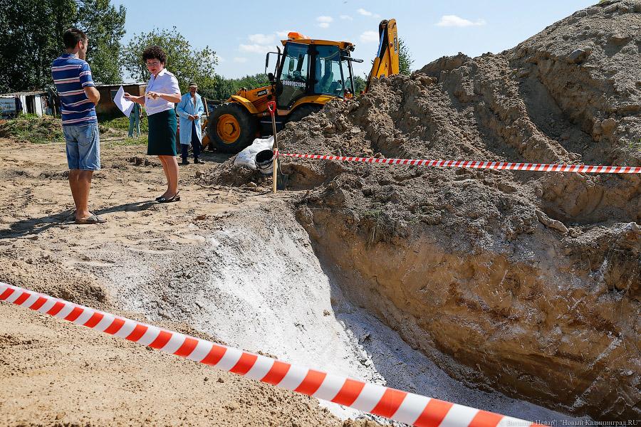 Похороны сала: как под Калининградом санкционную еду уничтожали