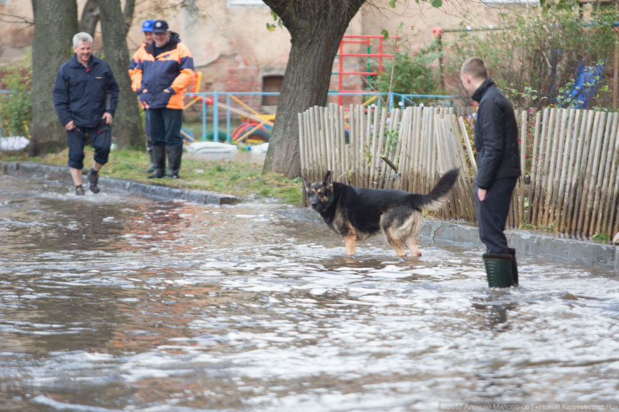 Мэр Калининграда поручил обеспечить подтопленные дома медпомощью и продуктами