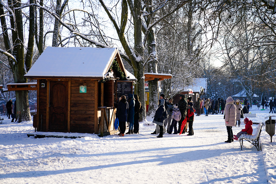 Скользя по утреннему снегу: калининградцы устроили катания с горки в Центральном парке (фото)