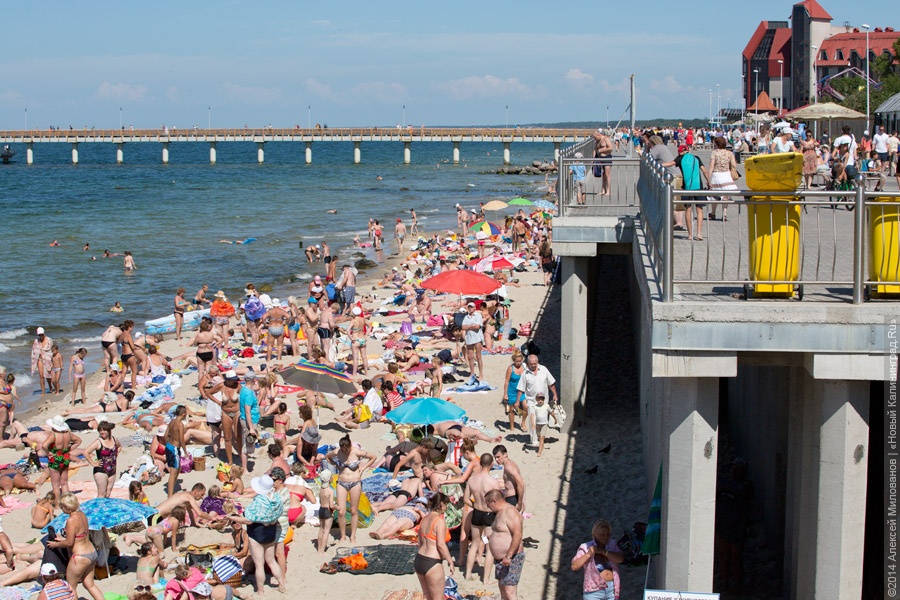 Гольдман о бревнах на пляже в Зеленоградске: да, у отдыхающих будут трудности