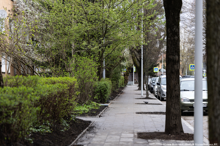 Последствия «сделанных выводов»: что происходит на ул. Красной перед сдачей (фото)