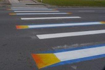 Мельников пожаловался на исчезающую дорожную разметку