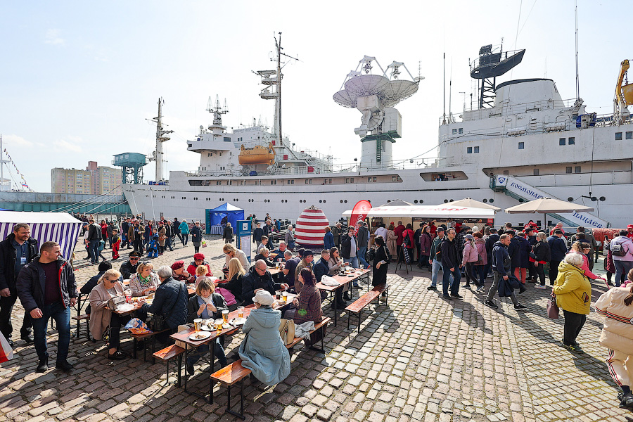 Селедка под сакурой: как прошел самый известный в России калининградский праздник (фото)