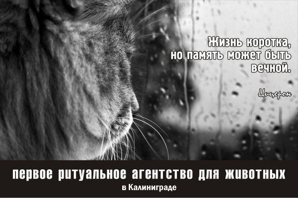 «Лунный свет»: история появления кремации