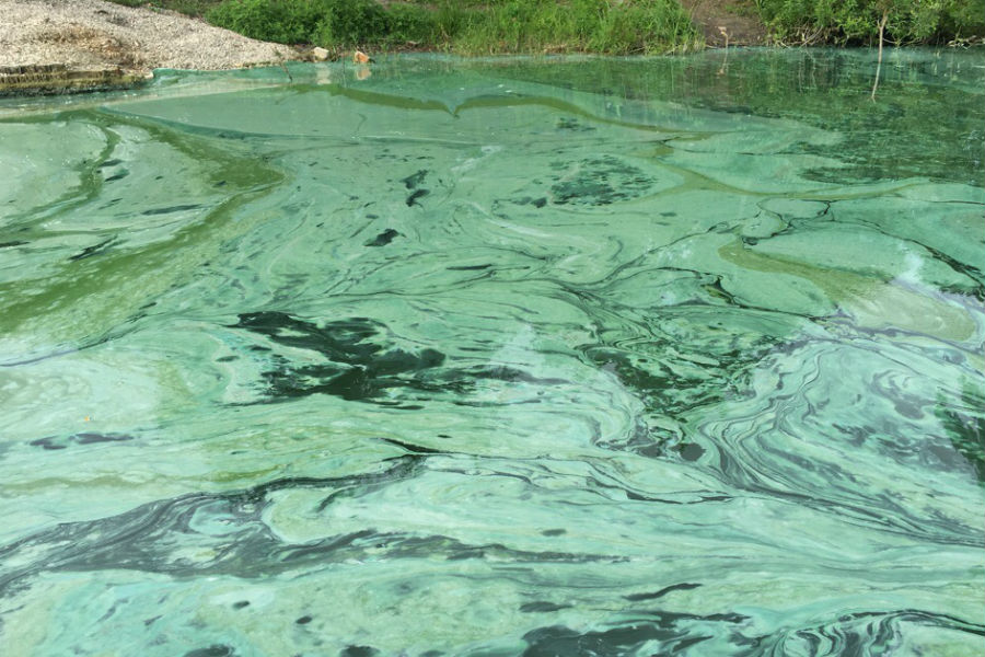 На озере Шенфлиз обнаружили «шипящее» пятно (видео)