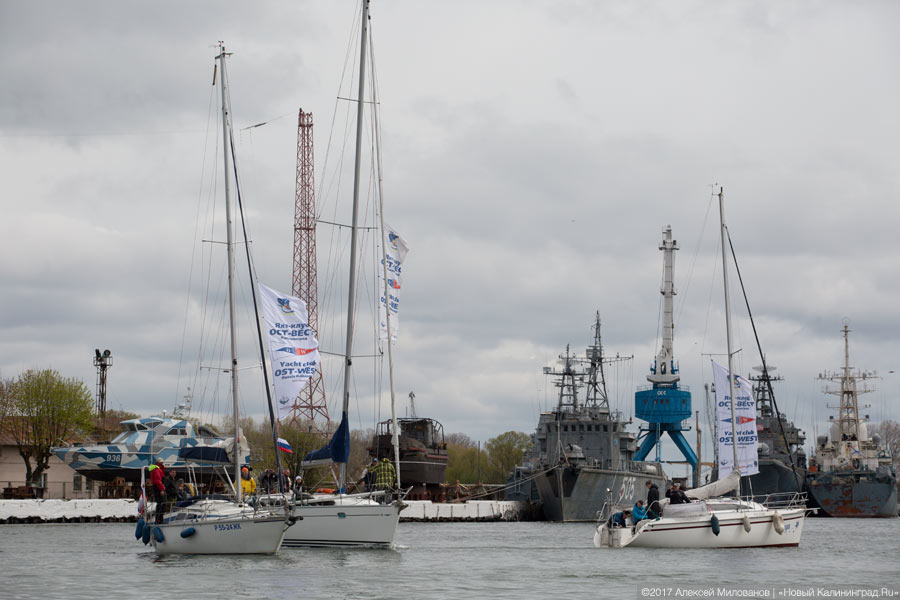 Венки на воде: яхтсмены в Балтийске почтили память погибших при штурме Пиллау