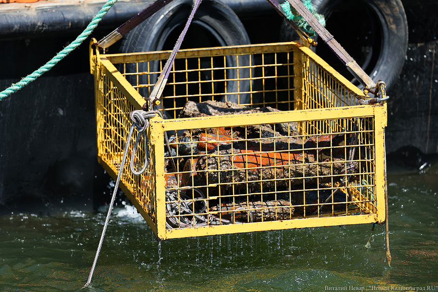 20 тысяч мин под водой: как проходит «разоружение» немецкой баржи под Балтийском (фото)
