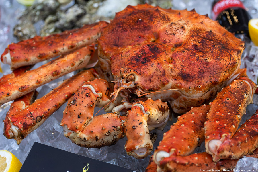 А-ля Новый год: в Зеленоградске «Фиштивалем» в апреле открыли курортный сезон (фото)