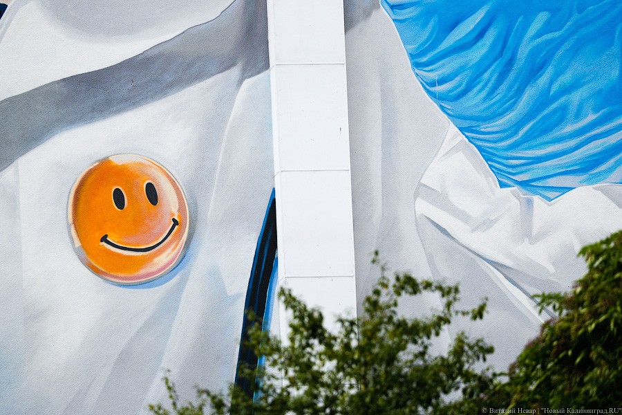 В Калининграде на фасаде девятиэтажки нарисовали врача в маске (фото)