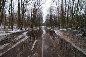 Литовцы считают, что нужно ограничить поток автомобилей по Куршской косе